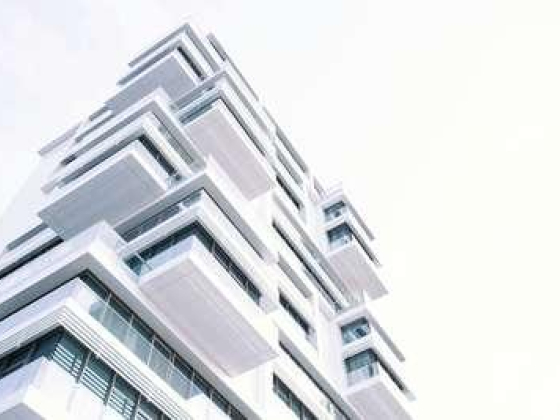 Done & Dusted Realty Real Estate Broker