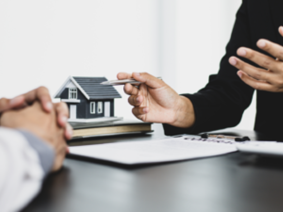 Sunny Properties Real Estate