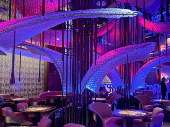 3s Lighting Solutions