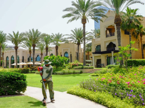Desert Landscape Company