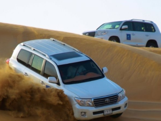 Falcon Oasis Tours