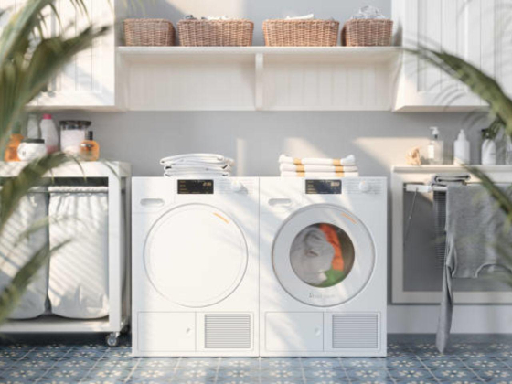 Ejaz Muhammad Laundry