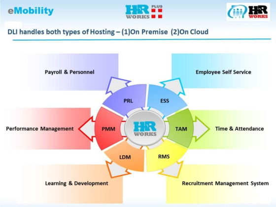 DLI-IT GROUP (DREAM LAND INNOVATION SYSTEMS)
