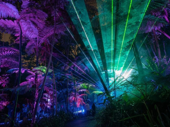 Laservision Mega Media