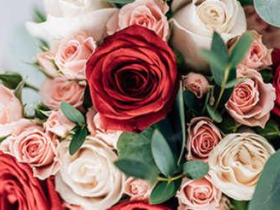 Petal Box Flowers & Chocolate