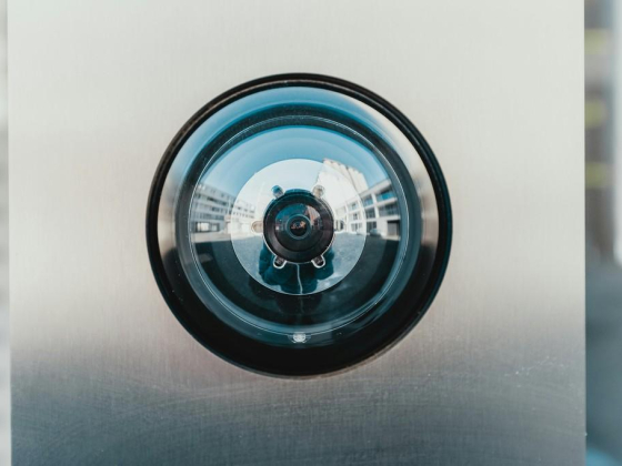 Global Link Security Services