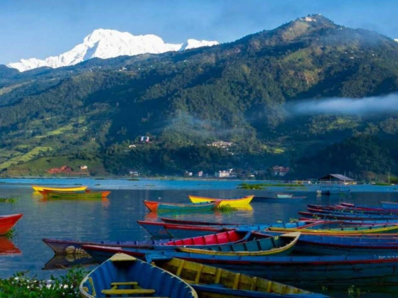 Quick Adventure Travel & Tourism