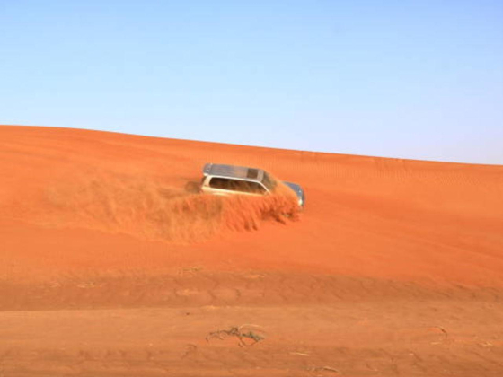Star Gaze Tours And Travels