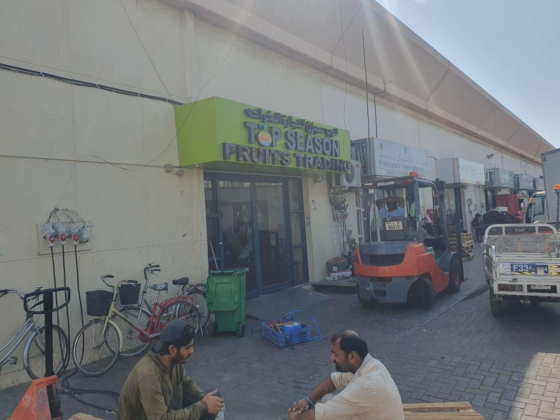Top Season Fruits Trading L.l.c
