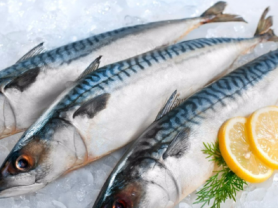 Faisal Abdulla Seafood Processing