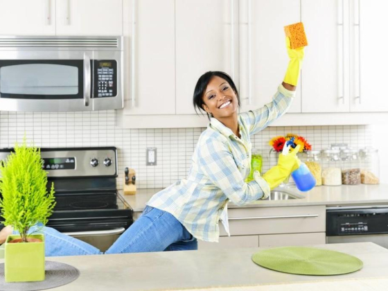 Eco Clean Cleaning Services
