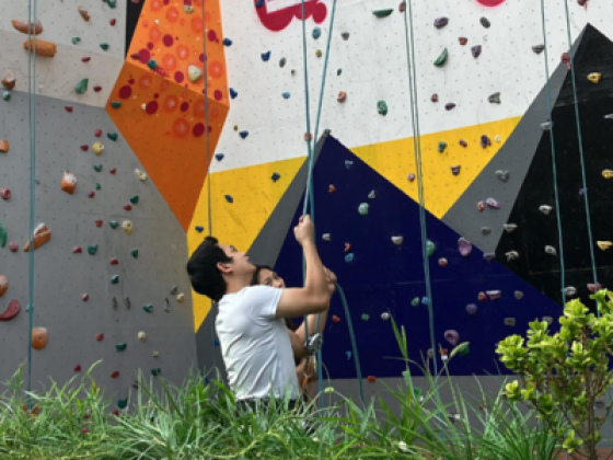 The Wall Climbing Gym