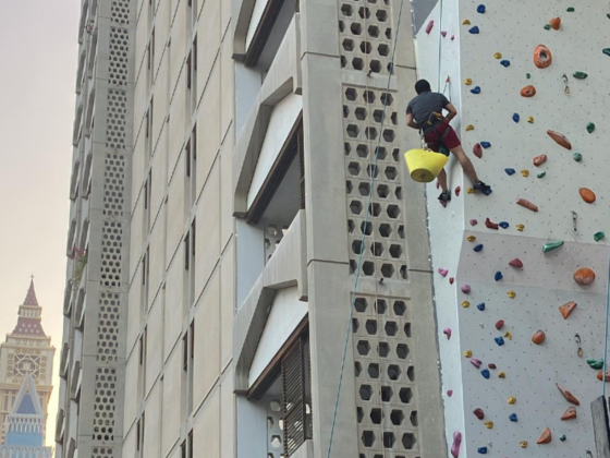 The Wall Climbing Gym