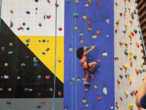 The Wall Climbing Gym