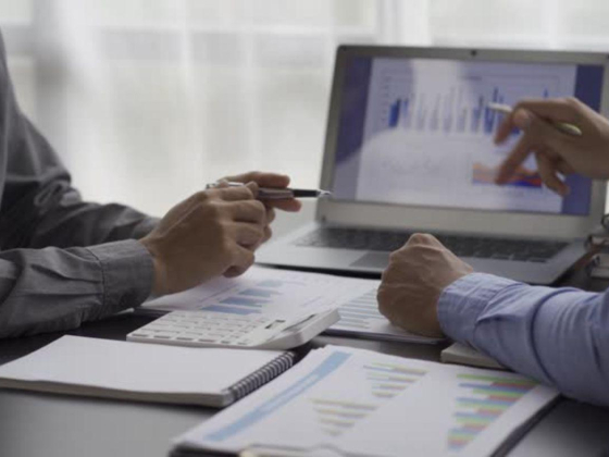 Capital Wealth Management Services
