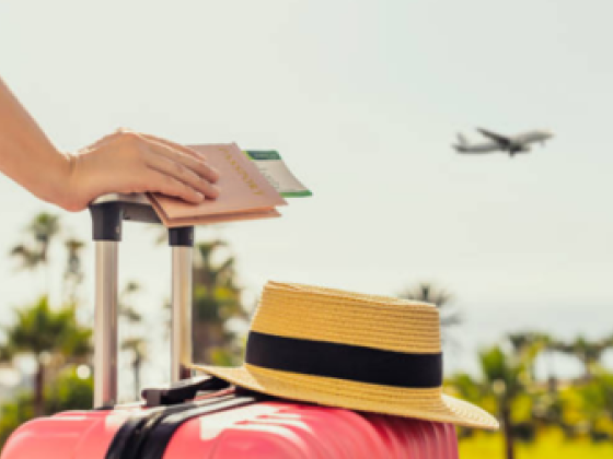 Al Mohandes Travel & Tours