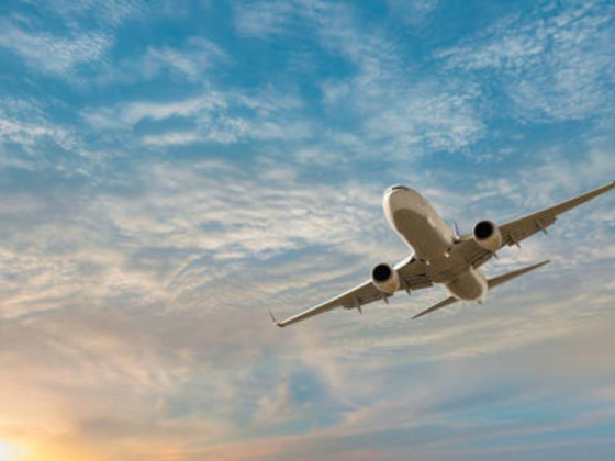 Prime Choice Tourism L.l.c