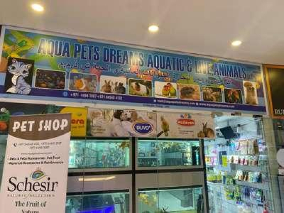 Aqua Pets Dreams Aquatic & Live Animals Trading