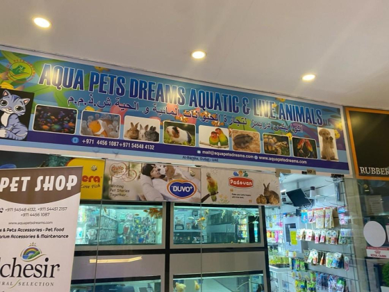 Aqua Pets Dreams Aquatic & Live Animals Trading