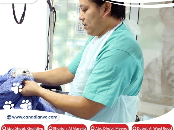 Canadian Veterinary Clinic