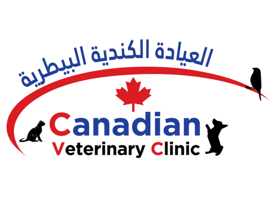 Canadian Veterinary Clinic