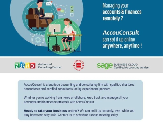 Accouconsult Accounting