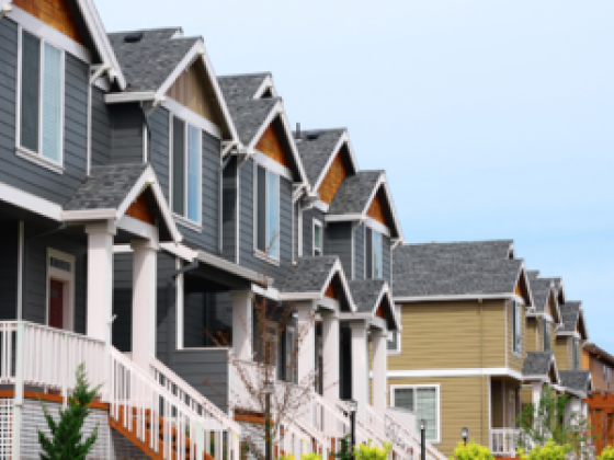 Shine Life Real Estate Broker