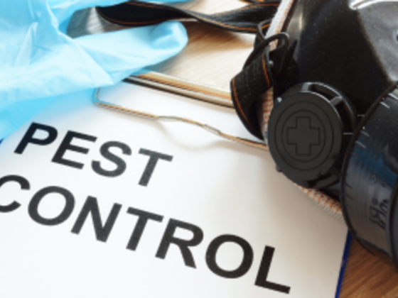 Affordable Pest Control & Building Cleaning Services