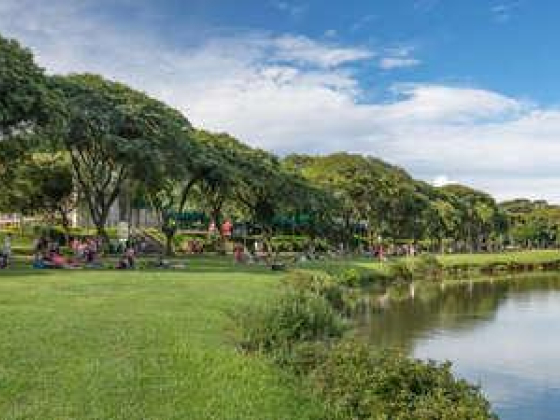 Nadd Shamma Park