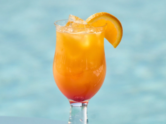 Float Beach Lounge
