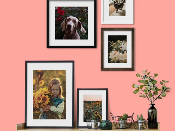 Fotofun Studio