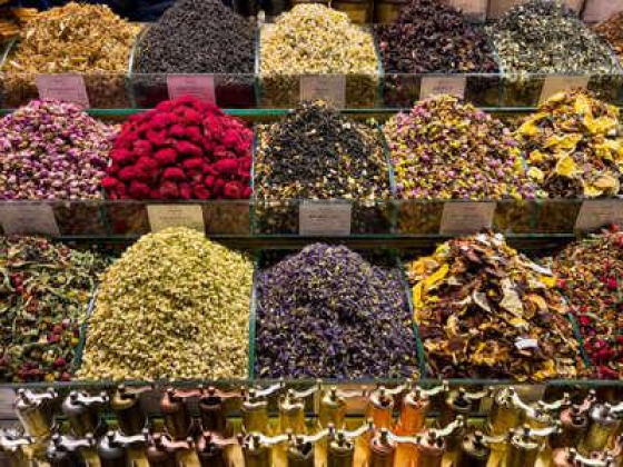 Qasr Al Bustan Foodstuff Trading
