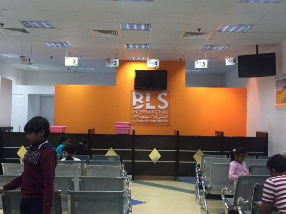 Bls International Services
