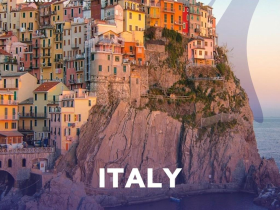The Visa Services