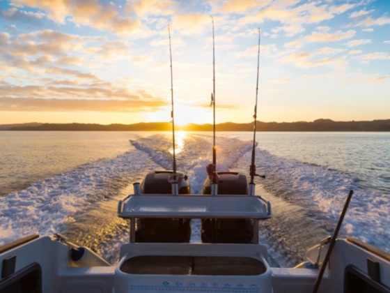 Blue Wave Ships & Boats Maintenance Services L.l.c