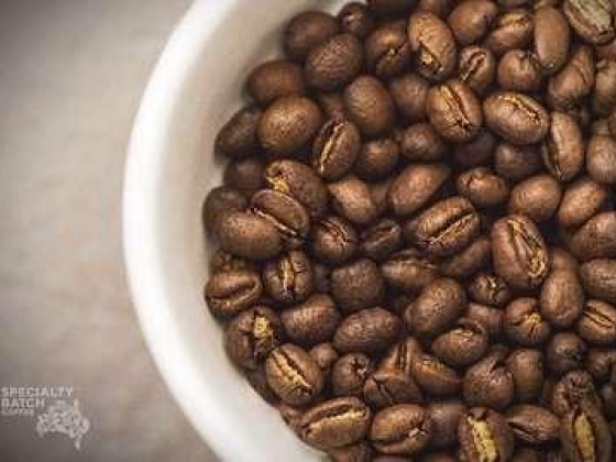Specialty Batch Coffee Roastery