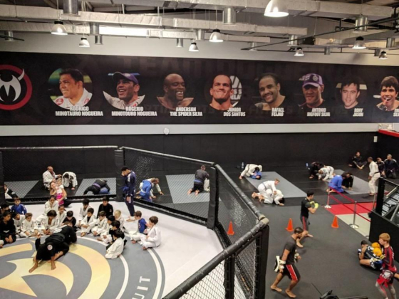 Team Nogueira Fighting Club