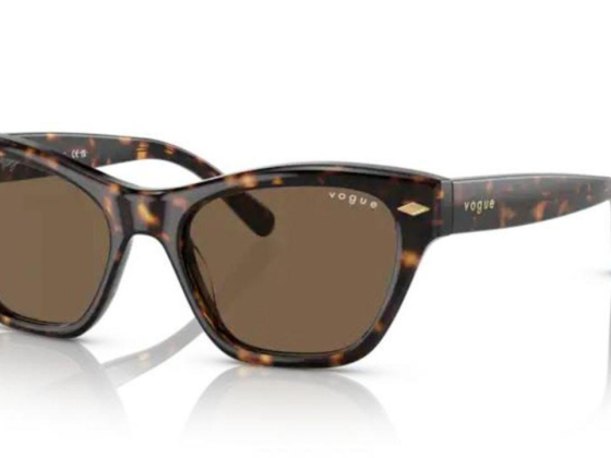 Eye Max Optical