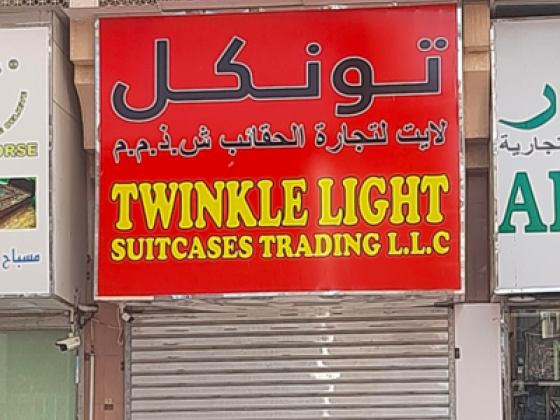 Twinkle Light Suitcases Trading