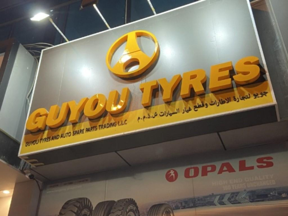 Guyou Tyres