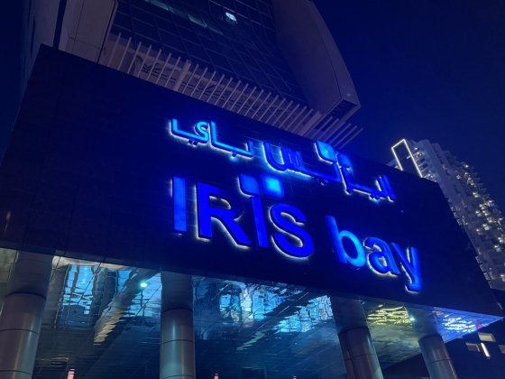 O N G Realestate L.l.c