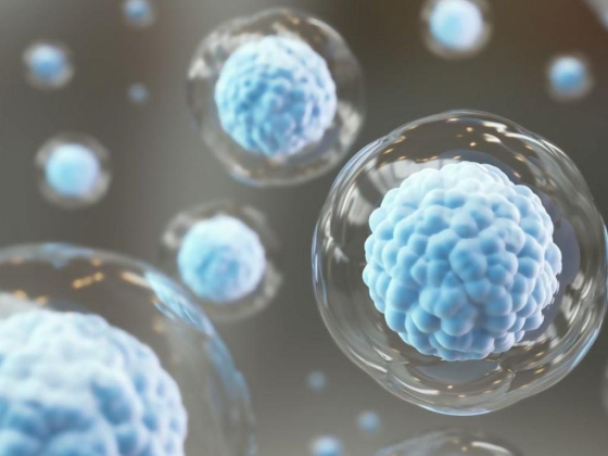 Dna Health And Wellness