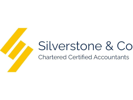 Silver Stone Management Consulting