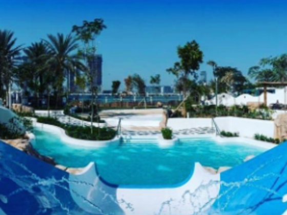 Jungle Bay