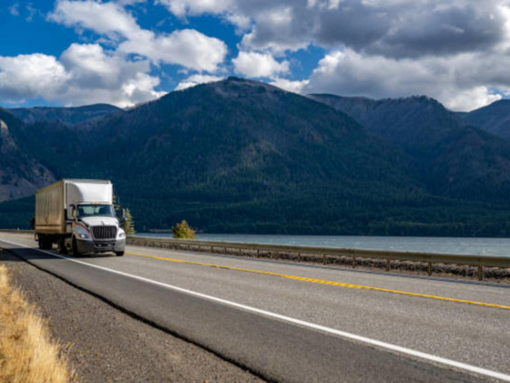 Loyal Transports