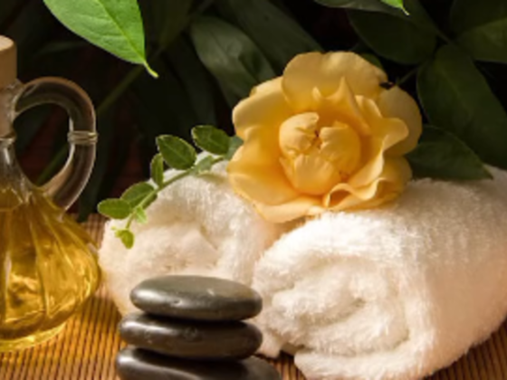 Next Journey Spa