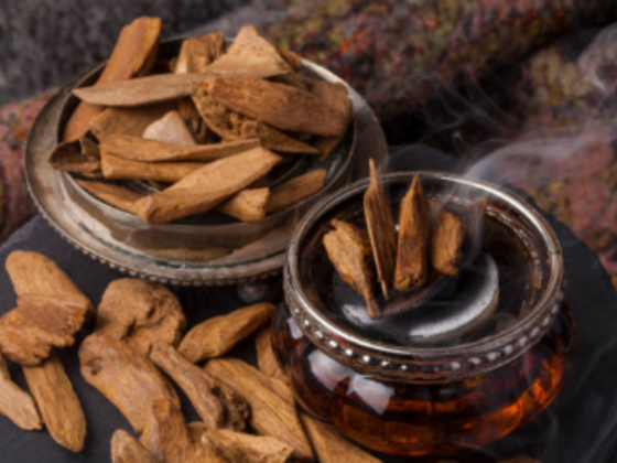 Oud Al Malik Perfumes And Cosmetics Trading