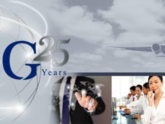 Air Logistics Group