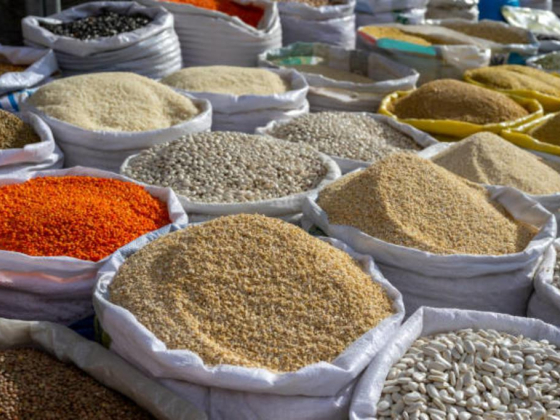 Starchem Grains Trading