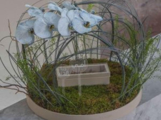The Garden Flower Boutique